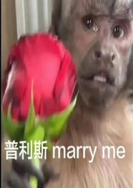 子午冲流年化解